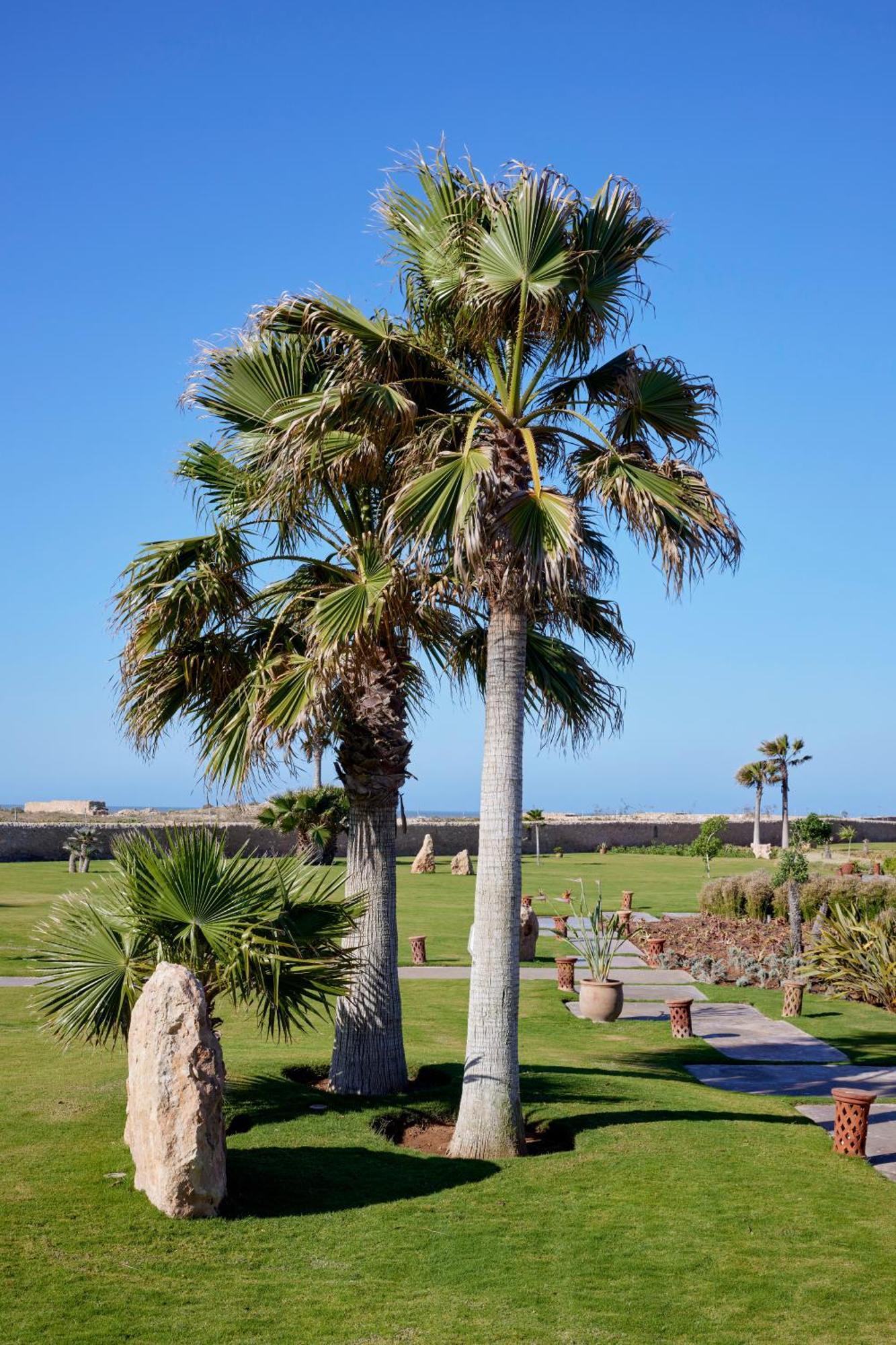 Baberrih Hotel Hospitality Palaces & Resorts Essaouira Ngoại thất bức ảnh